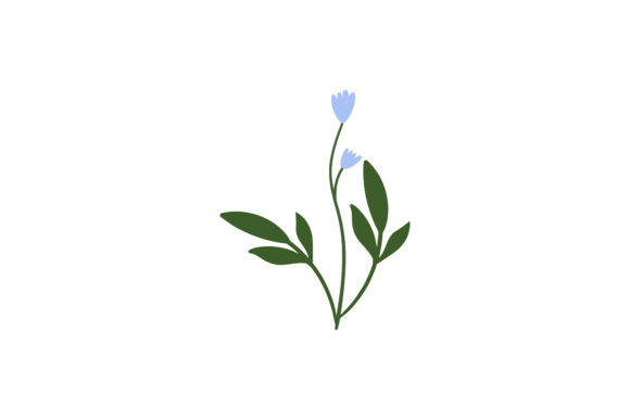 Botany Flowers Graphics and Illustrations for Editorial Use