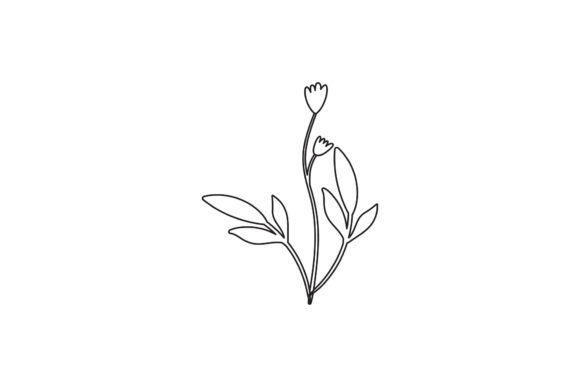 Botany Flowers Line Style Graphics Freebies Review