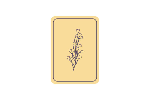 Flowers Beauty Card Vector Illustrations Graphics Review