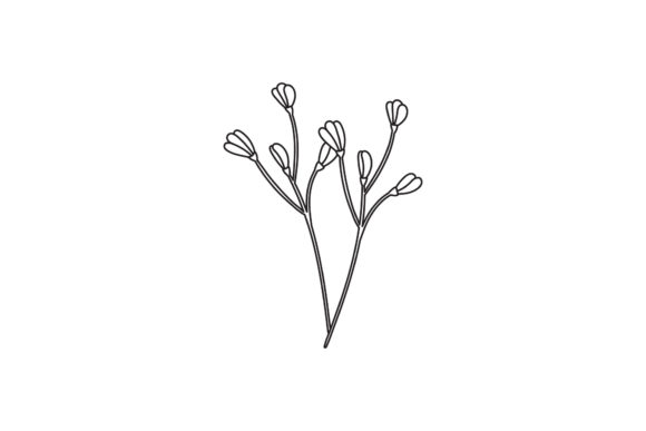 Flowers Botany Icon Line Style Graphics Freebies Review