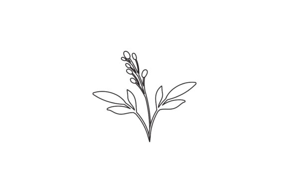 Flowers Design Flora Line Style Graphics and Freebies Review