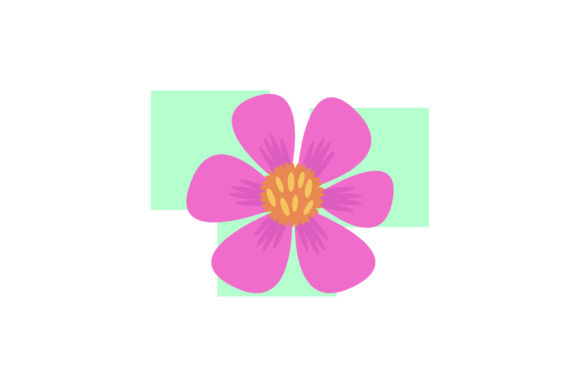 Flowers Illustrations Flora Graphics Review